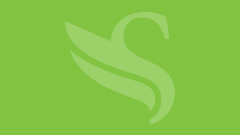 The Sagicor phoenix logo on a medium green background