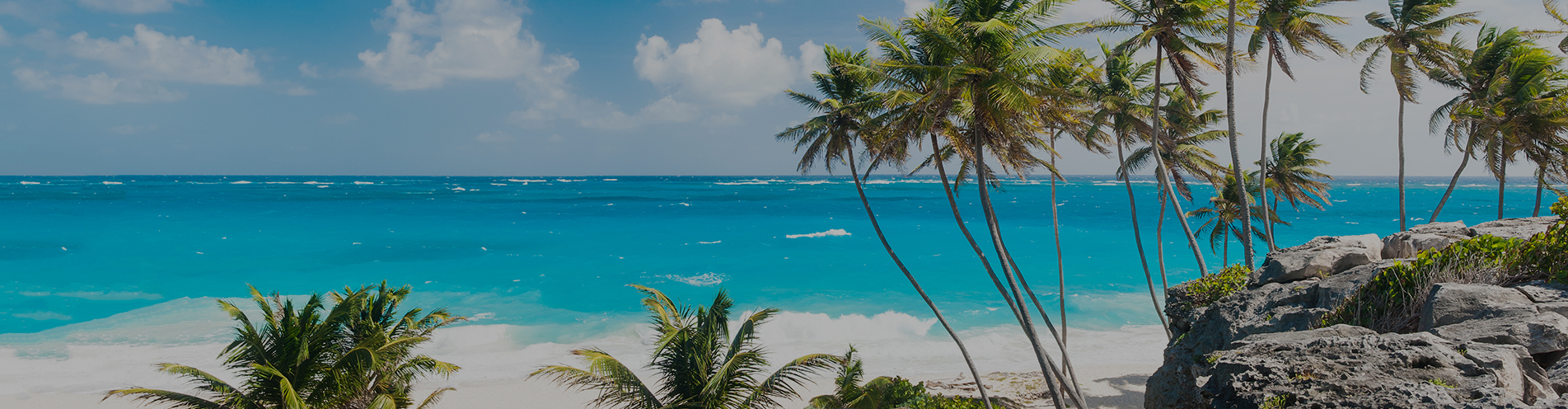 A beautiful, serene beach scene with palm trees and the Caribbean Sea in the background
