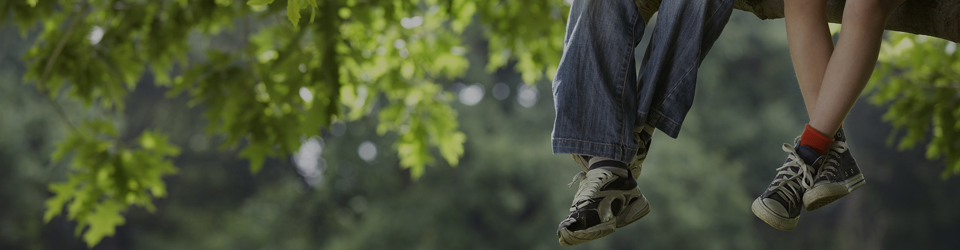 A forest scene with two kids' legs hanging off of a tree they're sitting on