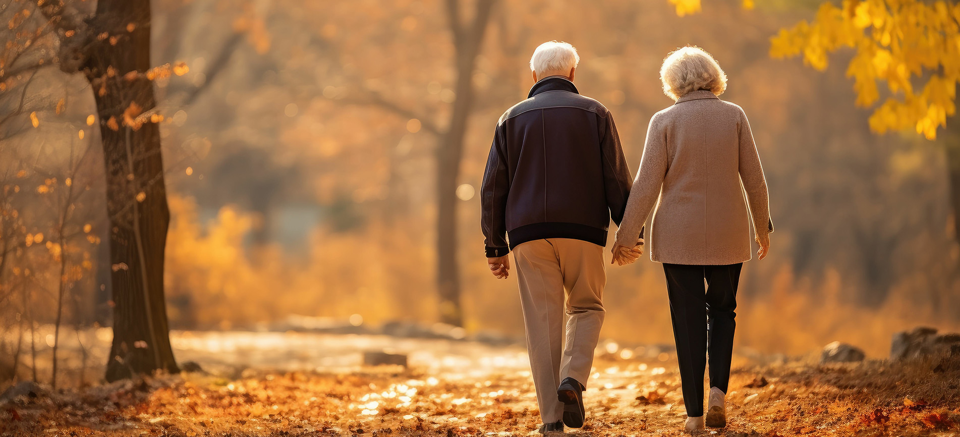 An older couple walk hand-in-hand on a lovely autumn afternoon among trees and fallen, golden leaves.